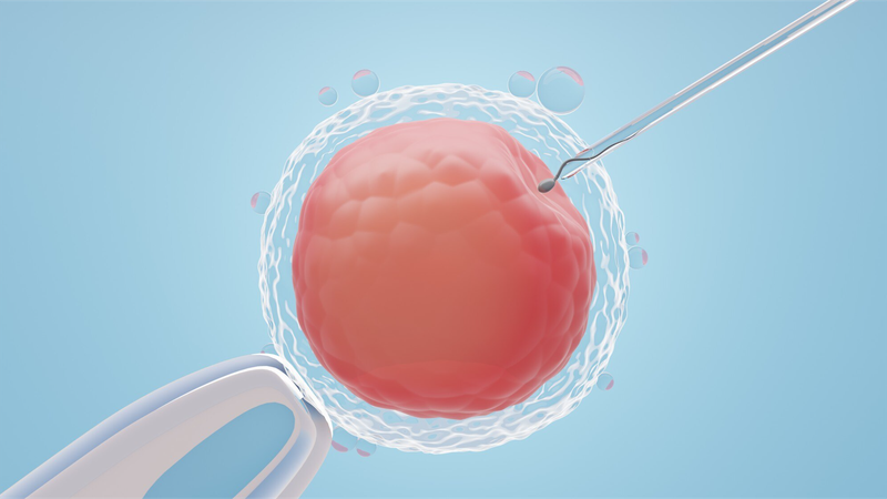 IVF (thụ tinh trong ống nghiệm) có vai trò quan trọng trong điều trị hiếm muộn