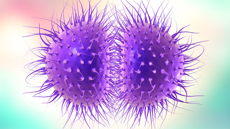 Phác đồ điều trị lậu mới nhất của Bộ Y tế 1