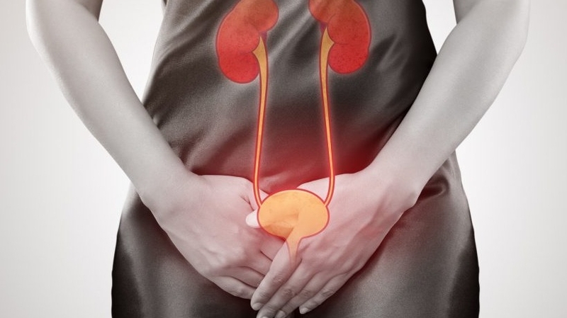 Phác đồ điều trị nhiễm trùng tiểu mới nhất theo hướng dẫn của Bộ Y tế 1