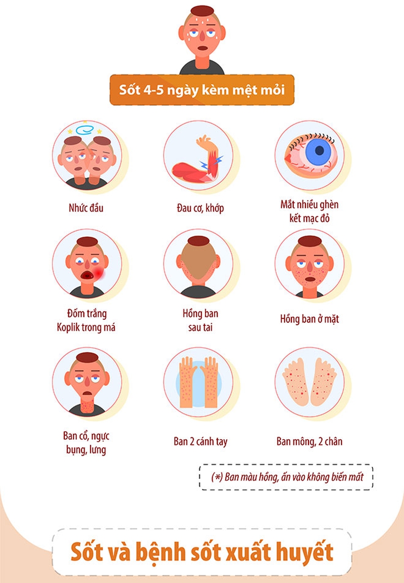 Phân biệt bệnh sốt xuất huyết với sốt thông thường