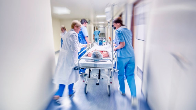 Cần đưa nạn nhân đến bệnh viện ngay khi có dấu hiệu ngộ độc so biển