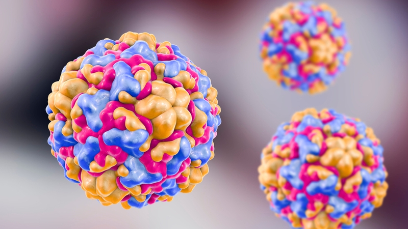 Phân biệt ​hen phế quản và viêm phế quản​ dựa trên nguyên nhân, triệu chứng và phương pháp điều trị 2