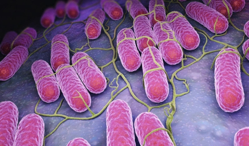 Phân biệt ho gà và ho thường: Dấu hiệu nhận biết và cách điều trị 1