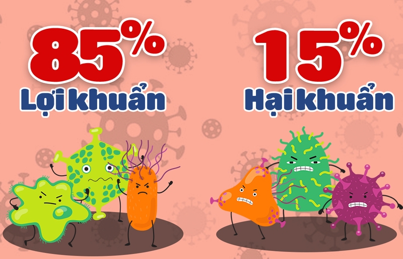 Phân biệt lợi khuẩn và bào tử lợi khuẩn để lựa chọn sản phẩm phù hợp 1