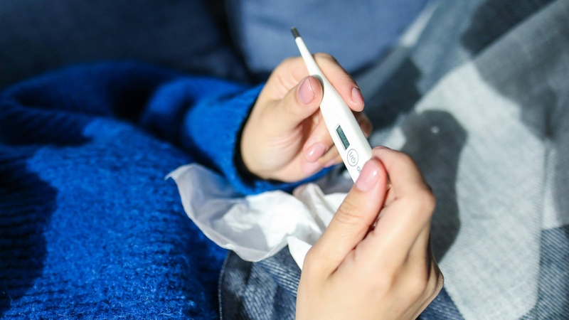 Sốt xuất huyết thường khởi phát sốt cao đột ngột 39 - 40°C, khó hạ