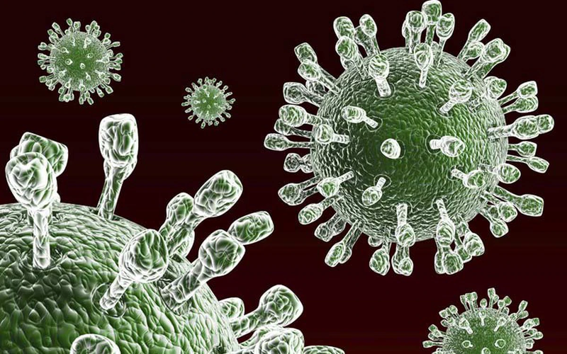 Phân biệt tiêu chảy do vi khuẩn và virus để biết cách xử lý hiệu quả 3