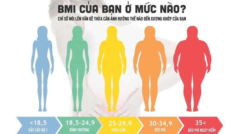 Phân độ béo phì là gì? Có những những cách chia nào 1
