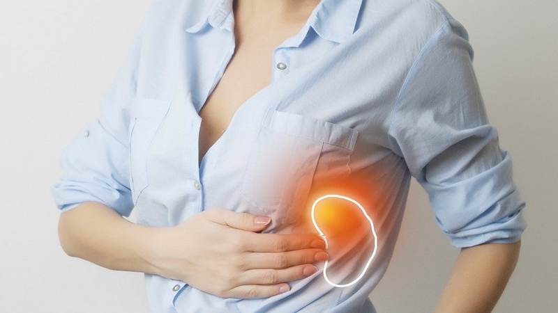 Phân độ lách to và những điều cần biết 3