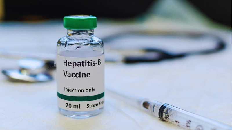 Phân thùy gan là gì? Một số bệnh về gan phổ biến có thể bạn chưa biết