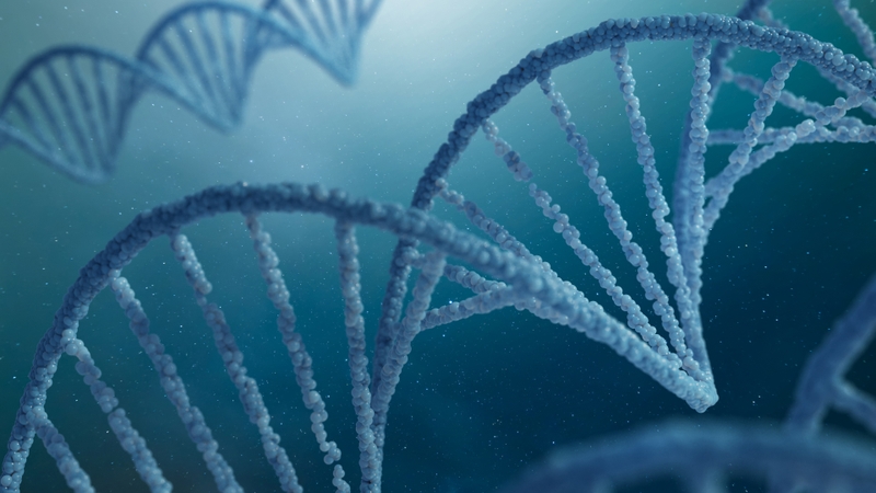 Phân tích bộ gen sớm cải thiện kết quả điều trị ung thư 2