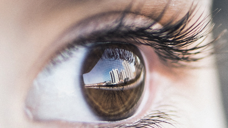 phan-xa-ap-thu-quan-la-gi-vai-tro-cua-phan-xa-ap-thu-quan-trong-co-the 1