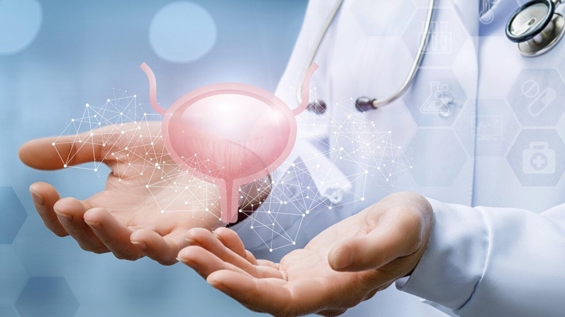 phan-xa-bang-quang-la-gi-benh-ly-bang-quang-than-kinh-la-nhu-the-nao 4