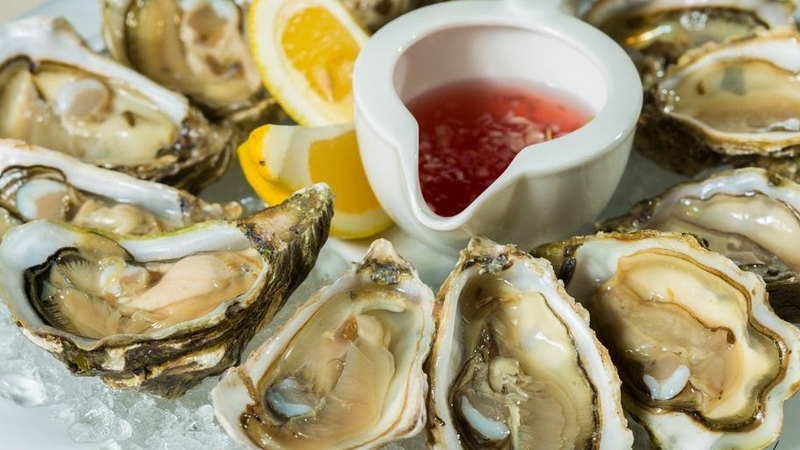 phan-xa-da-biu-la-gi-nhung-dieu-can-biet 3