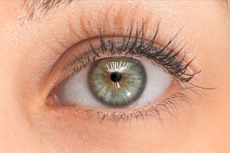 Phản xạ đồng tử là gì? Cơ chế sinh lý và ý nghĩa lâm sàng của phản xạ đồng tử 1