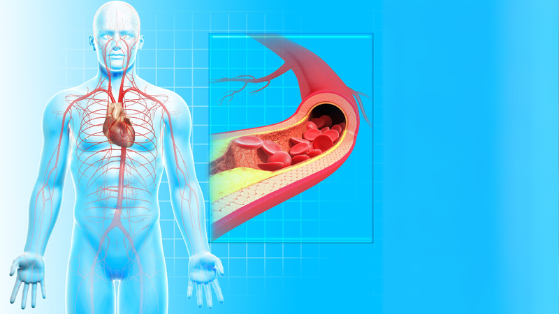 phan-xa-giam-ap-la-gi-vai-tro-cua-phan-xa-giam-ap-trong-suc-khoe-tim-mach 1