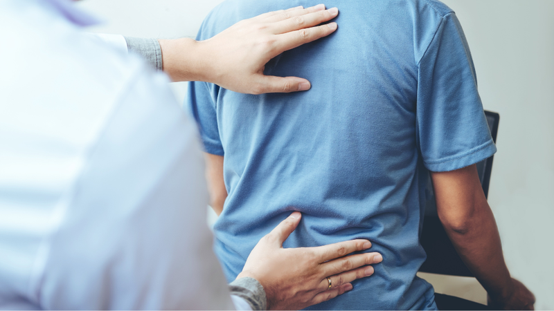 phan-xa-hanh-hang-la-gi-vai-tro-cua-phan-xa-hanh-hang 3