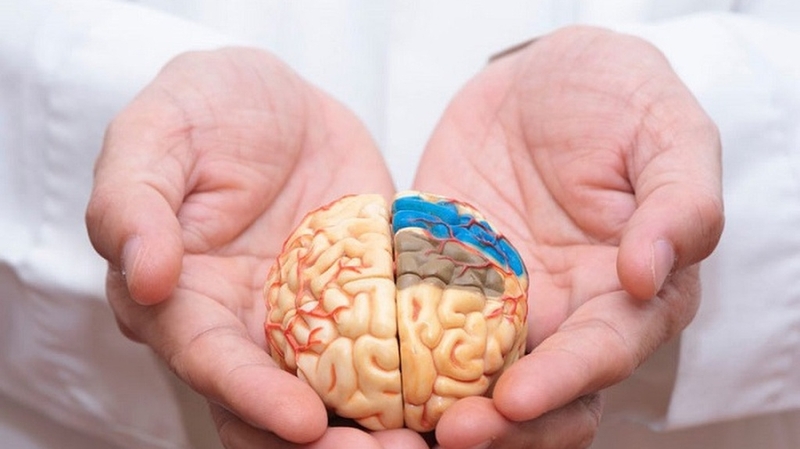 Phản xạ không điều kiện là gì và tại sao nó quan trọng? 3