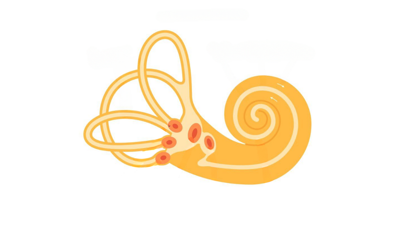 phan-xa-me-lo-la-gi-cach-tang-cuong-phan-xa-me-lo 1