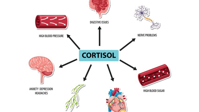 Phát ban do stress: Dấu hiệu nhận biết và phương pháp xử lý 3