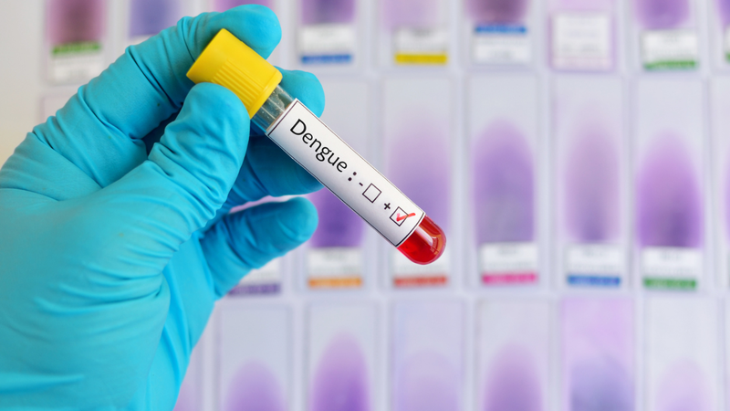 Phát ban sốt xuất huyết: Dấu hiệu nhận biết và cách phòng ngừa 3