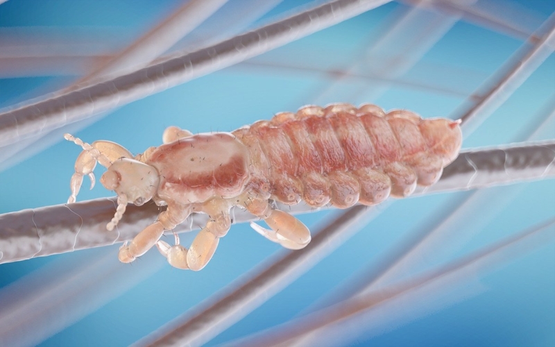 Phát hiện Ivermectin có khả năng tiêu diệt virus SARS-CoV-2 2