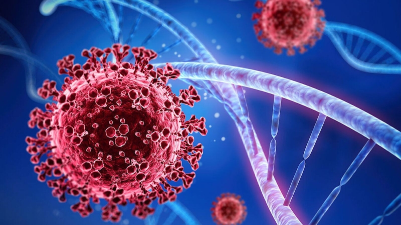 Phát hiện kháng thể chống được hàng loạt biến thể Covid-19 1