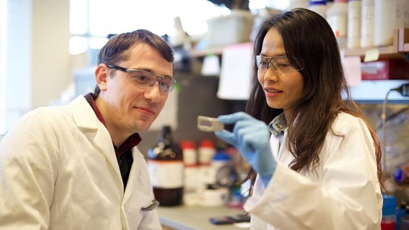 Phát hiện loại thuốc mới có khả năng làm giảm kích thước của u nang thận 1