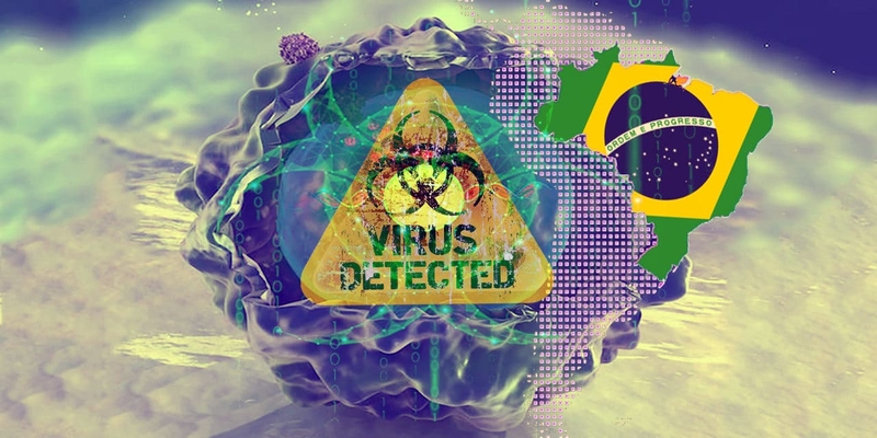 Phát hiện loại virus bí ẩn với bộ gen khủng 1