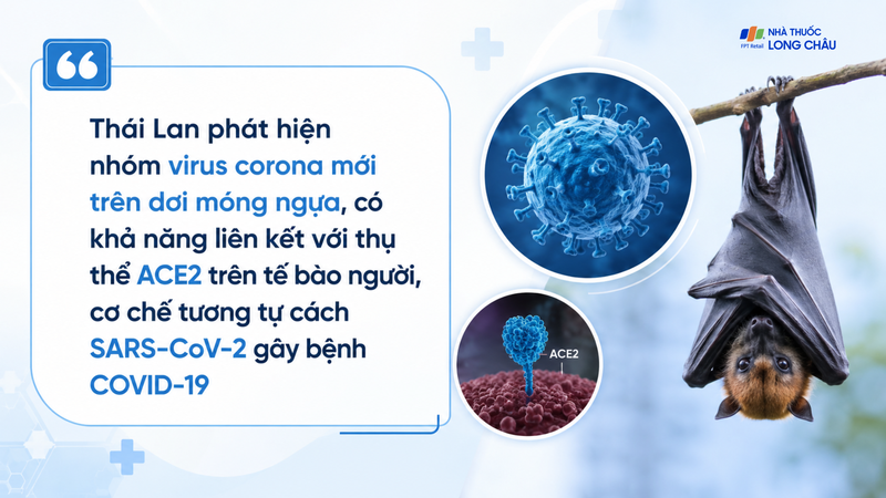 Thái Lan phát hiện biến thể virus corona mới trên dơi móng ngựa