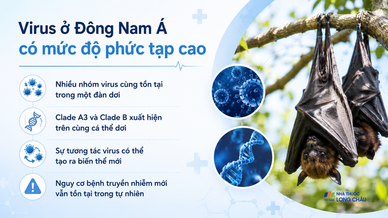 Hệ sinh thái virus tại khu vực Đông Nam Á có mức độ phức tạp cao