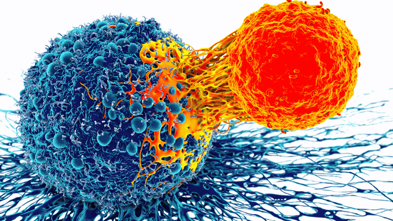 Phát hiện vitamin C thúc đẩy ung thư phát triển và di căn 2