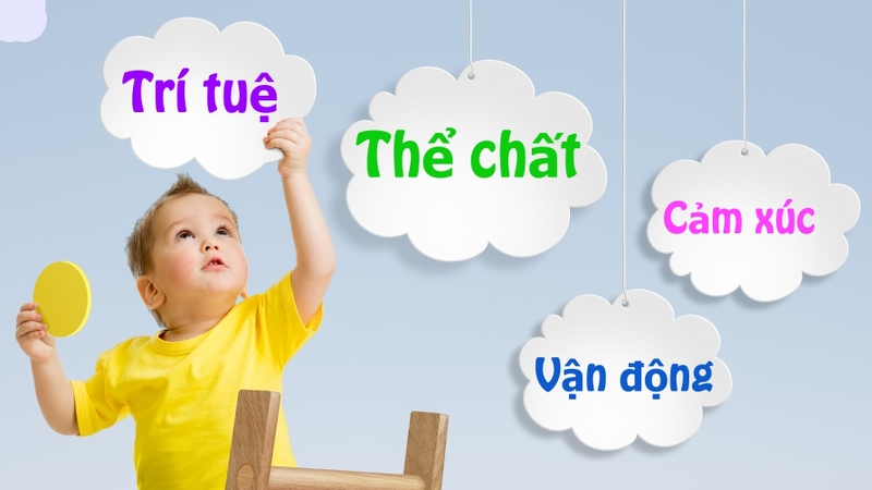 Phát triển toàn diện cho trẻ là gì? Nên bắt đầu bao giờ? 1