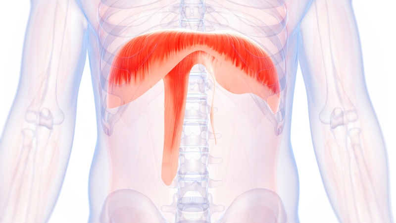 Phẫu thuật bằng robot cứu bệnh nhân khó thở do nhão cơ hoành3