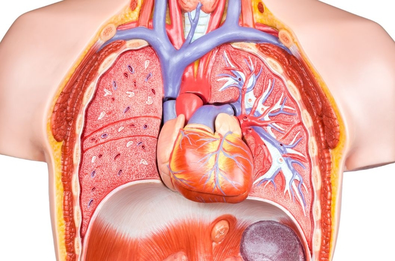 Tìm hiểu chi tiết về phẫu thuật lồng ngực 1