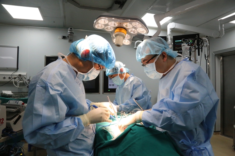 Có nhiều loại phẫu thuật tim có thể được tiến hành thông qua phương pháp mổ tim ít xâm lấn