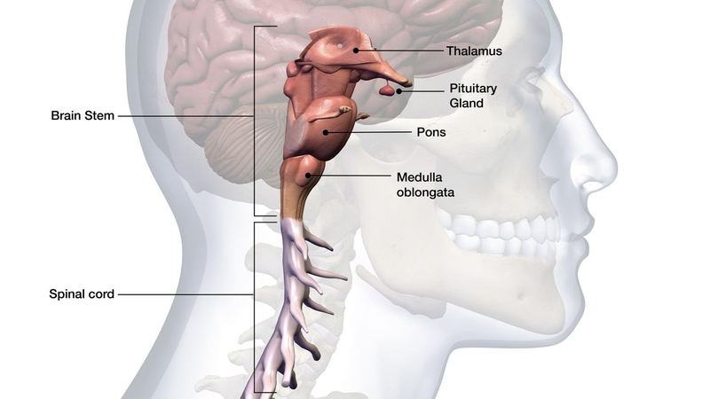 phau-thuat-u-than-nao-tung-buoc-mang-lai-hy-vong 1