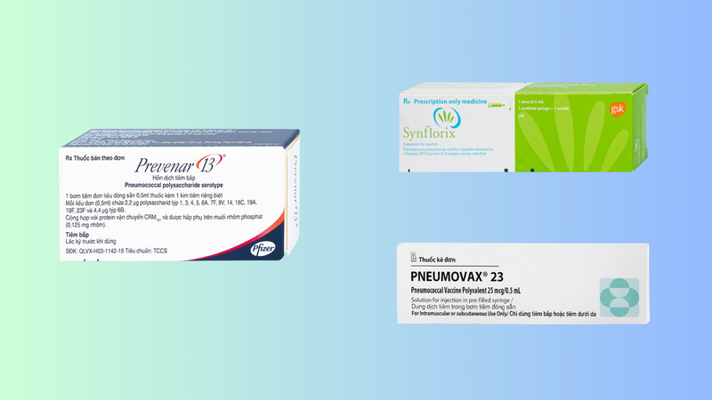 Phế cầu tiêm ở đâu tại Hà Nội? Các loại vắc xin phế cầu và giá tiền 3
