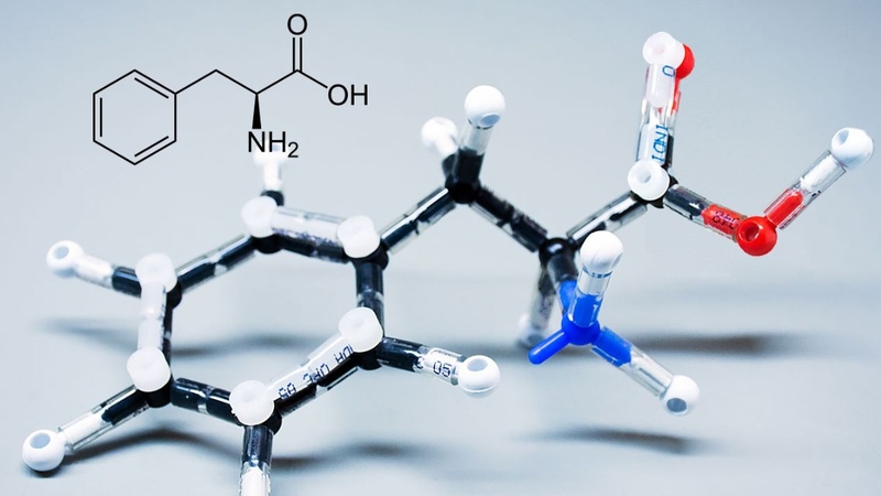 Phenylalanine tham gia tổng hợp protein và nhiều chất dẫn truyền thần kinh