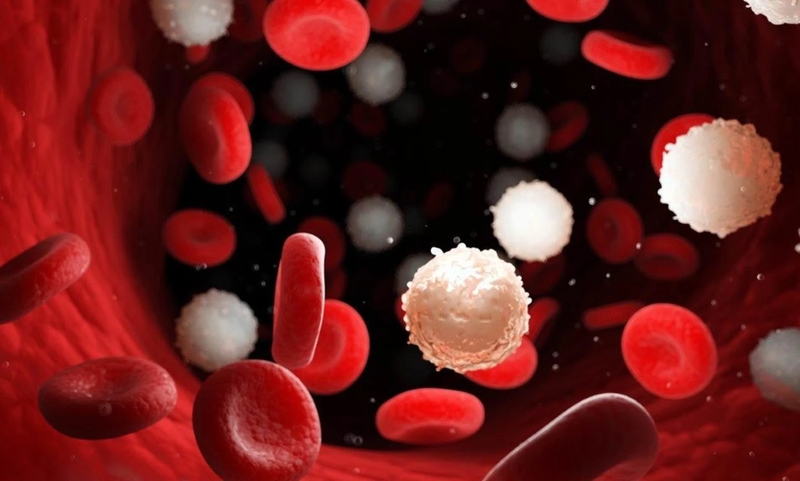 Phô mai que bao nhiêu calo? Lưu ý khi ăn để tránh tăng cân - 3