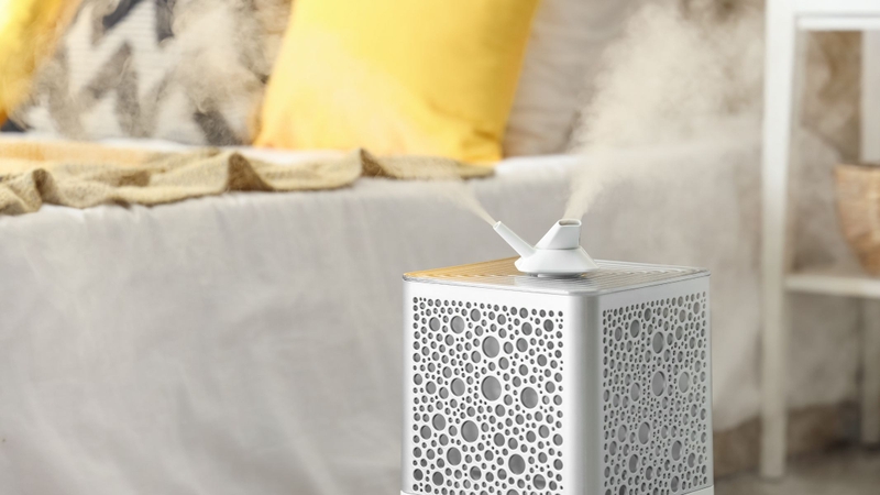 Sử dụng máy phun sương hoặc đặt vật chứa nước trong phòng giúp cân bằng độ ẩm