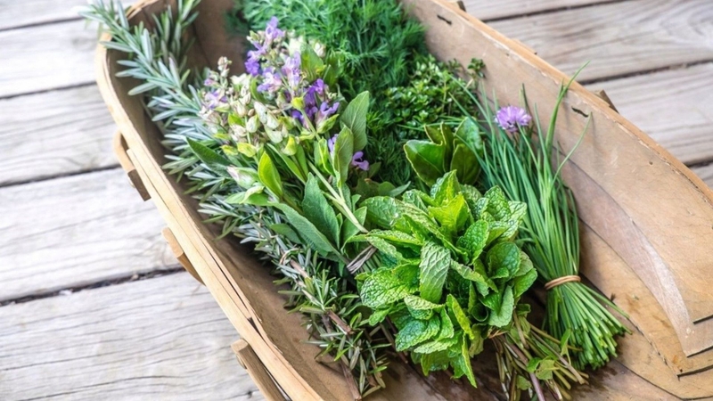 Phòng ngừa cảm lạnh và cúm mùa mưa: Thực phẩm cần thiết 11