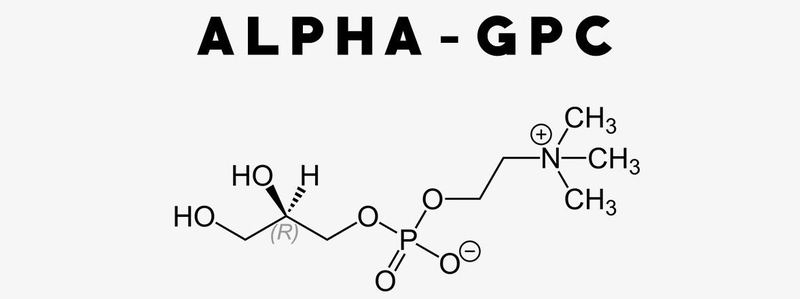 Phòng ngừa suy giảm trí nhớ với Alpha GPC 3