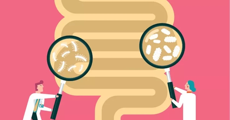 Phòng ngừa và điều trị các rối loạn vi sinh đường ruột trong mùa nắng nóng4