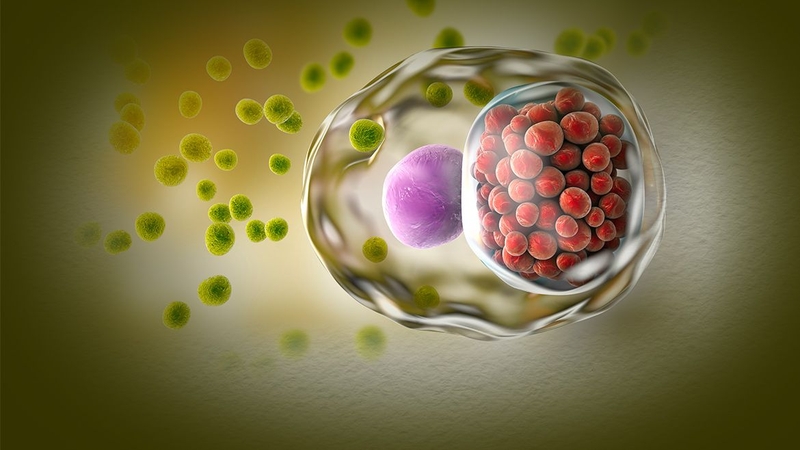 Phòng tránh những bệnh lây truyền qua đường tình dục