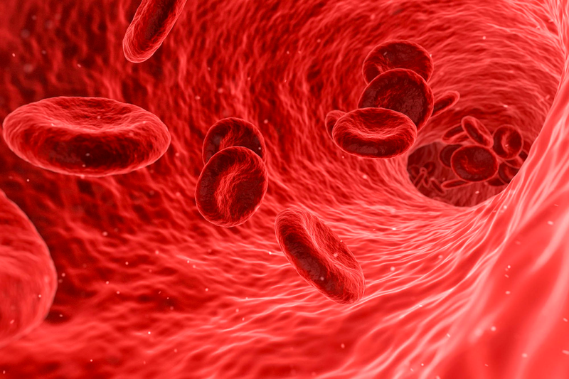 Phòng tránh thiếu máu thiếu sắt ở trẻ với sắt Ferrolip Baby 2