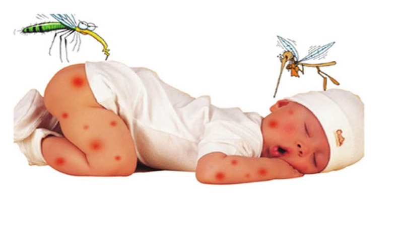 Phụ huynh có biết tiêm phòng viêm não Nhật Bản mũi 3 cách mũi 2 bao lâu 2