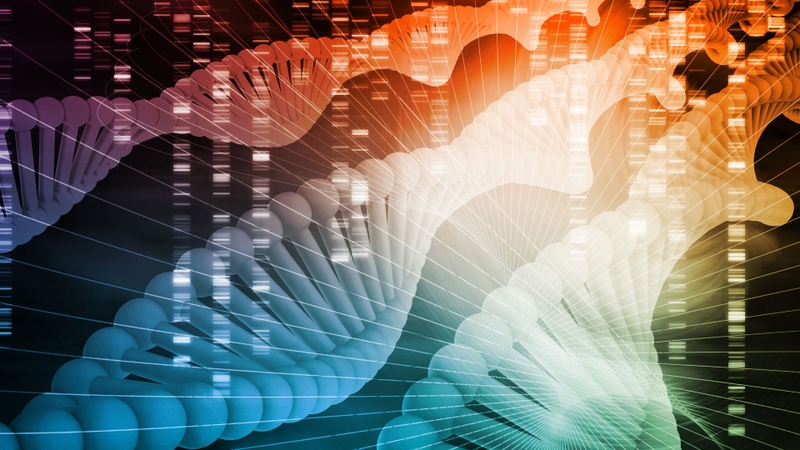 Phụ nữ 48 tuổi có sinh con được không? Giải đáp từ góc nhìn y khoa 4