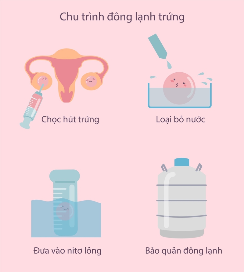 Phụ nữ bao nhiêu tuổi thì hết trứng? 3