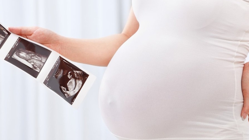 Phụ nữ bầu 3 tháng đầu ăn nấm mèo được không? Những lưu ý cho mẹ bầu 2