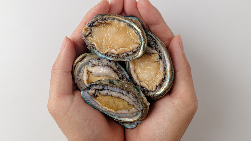 Phụ nữ sau sinh ăn bào ngư được không? Bào ngư có tác dụng gì? 4